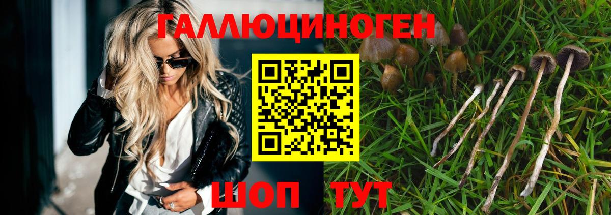 Псилоцибиновые грибы мицелий Звенигород