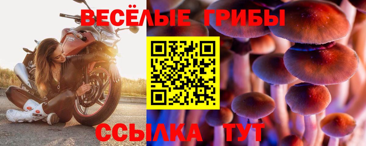 Галлюциногенные грибы ЛСД  Псилоцибиновые грибы Cubensis  Звенигород  Вход с VPN 